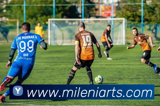 米乐m6发展历程